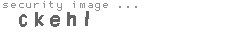 security image