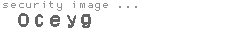 security image