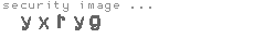 security image