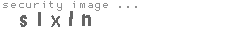 security image