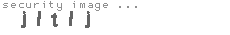 security image