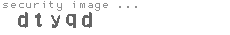 security image