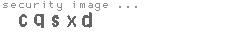 security image