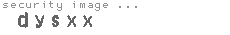security image