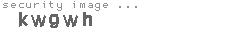 security image