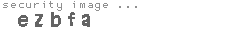 security image