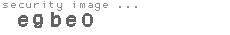 security image