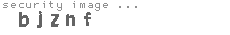 security image