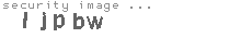 security image