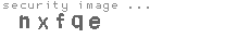security image
