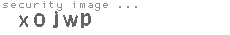 security image