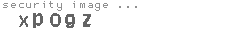 security image