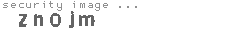 security image