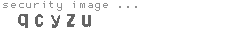security image