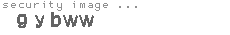 security image