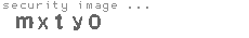 security image