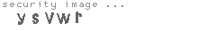 security image