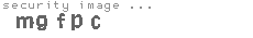 security image