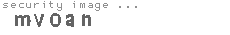 security image