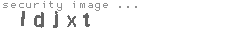 security image