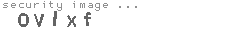 security image