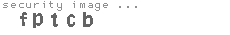 security image