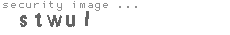 security image