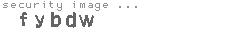 security image