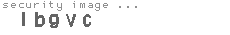 security image