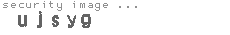 security image