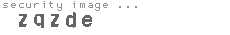 security image