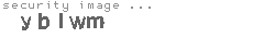 security image