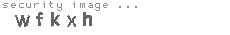 security image