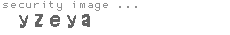 security image