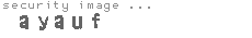 security image