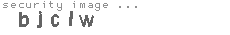 security image