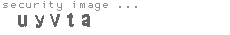 security image