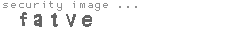 security image