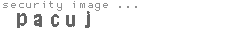 security image