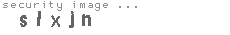 security image