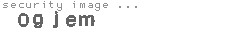 security image