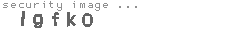 security image