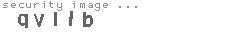 security image