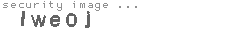 security image