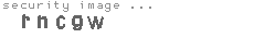 security image