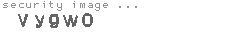security image