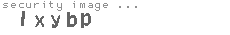 security image