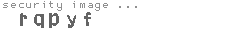security image