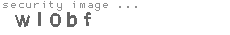 security image