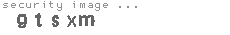 security image